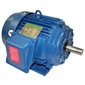 # T59051 - 1 HP, 575 Volt